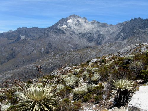 La cordillera de los Andes en Venezuela: el pico Bolvar.