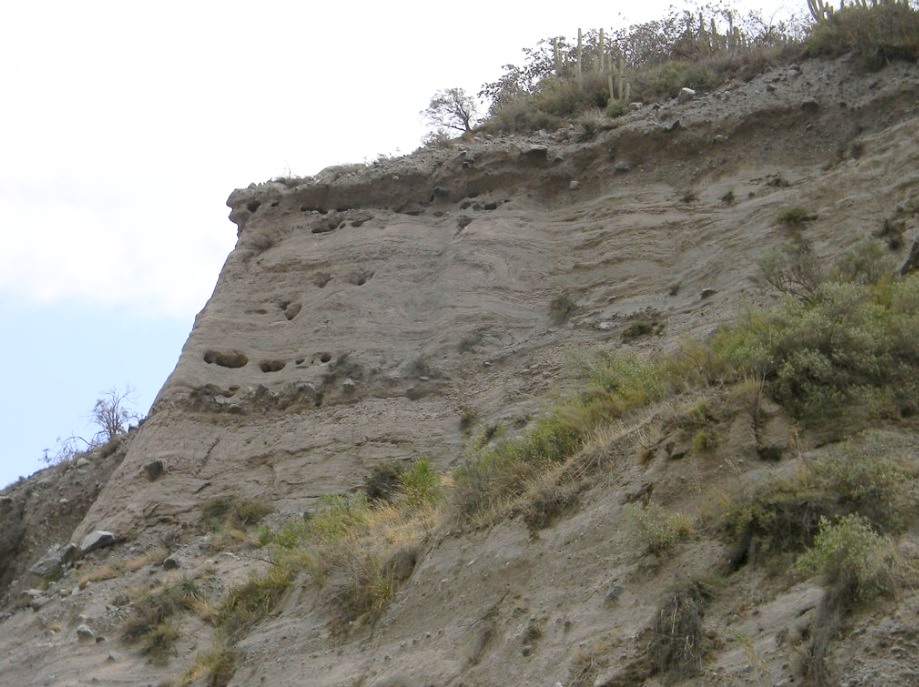 Tricahuera: cueva en donde anidan los loros tricahues (Cyanoliseus patagonus).