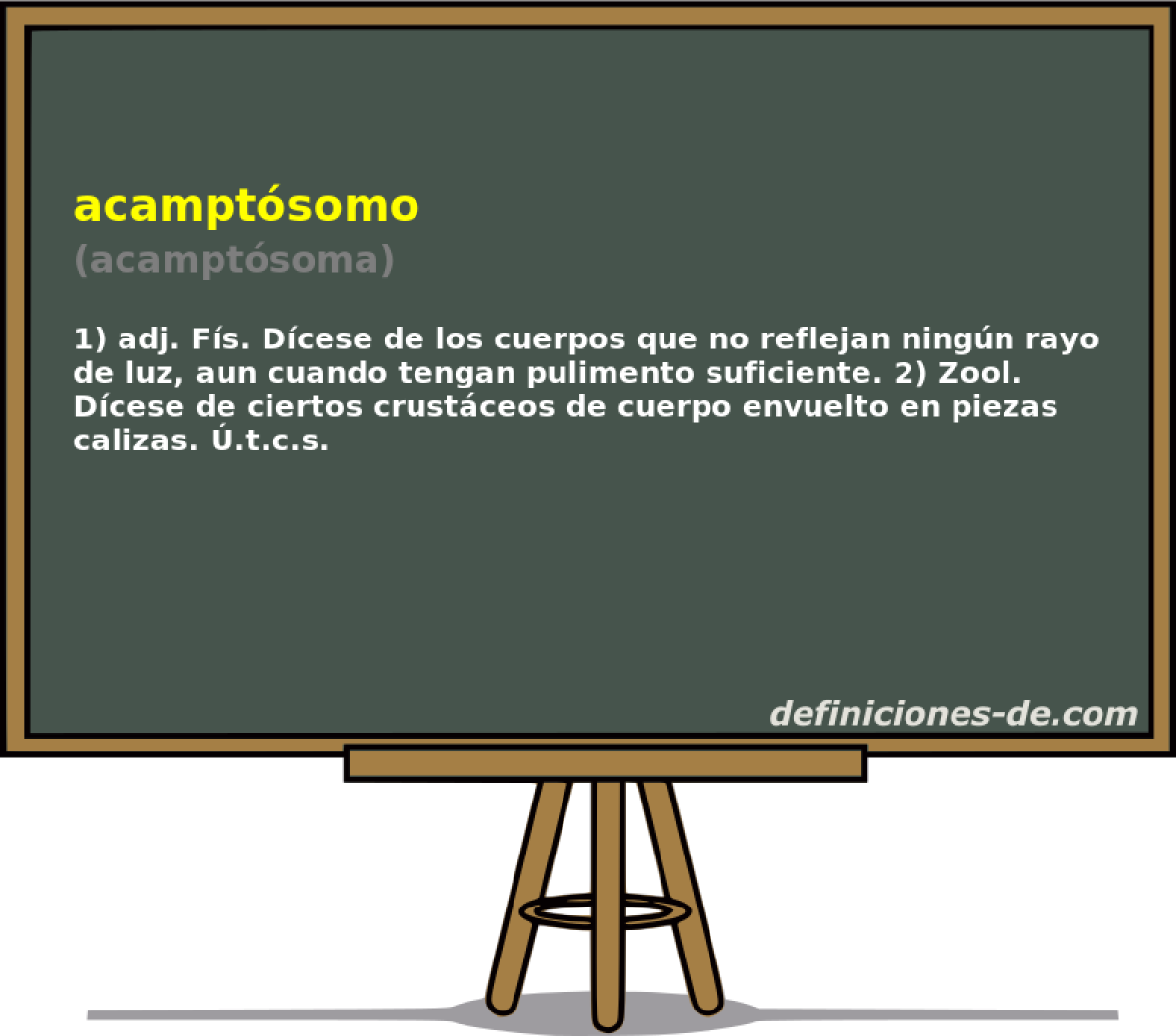 acamptsomo (acamptsoma)