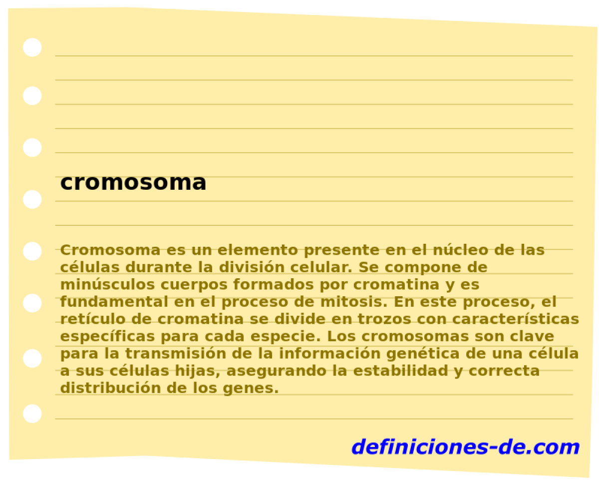 cromosoma 