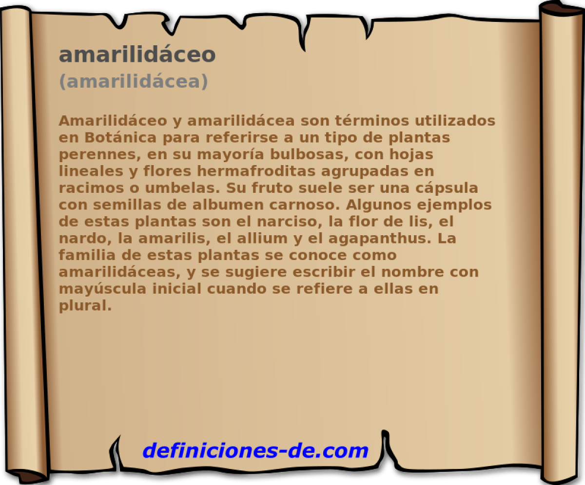 amarilidceo (amarilidcea)