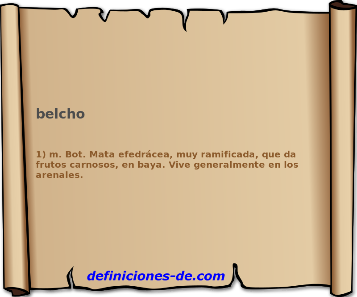 belcho 