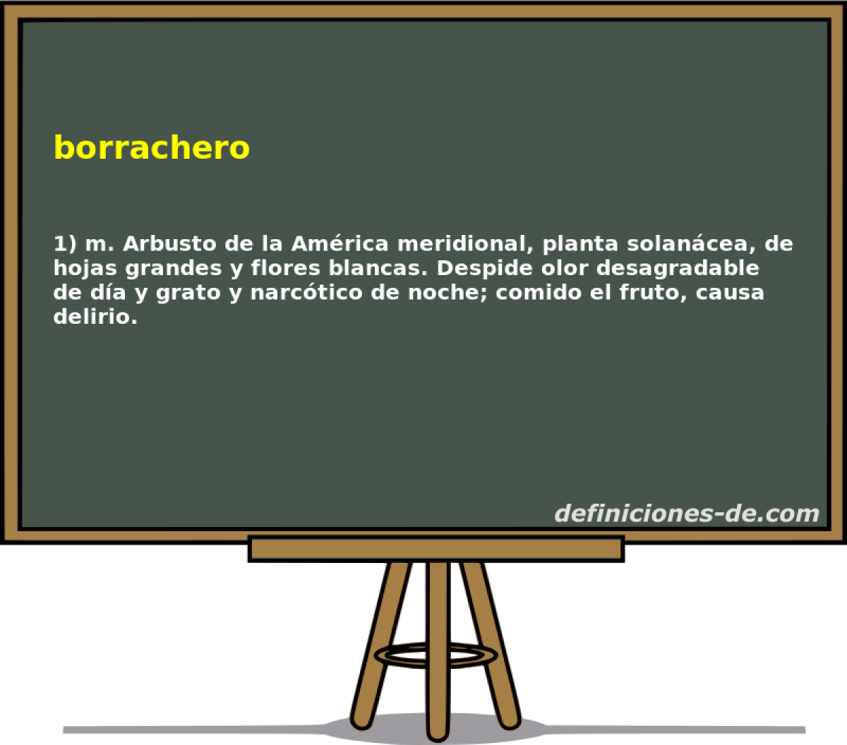 borrachero 
