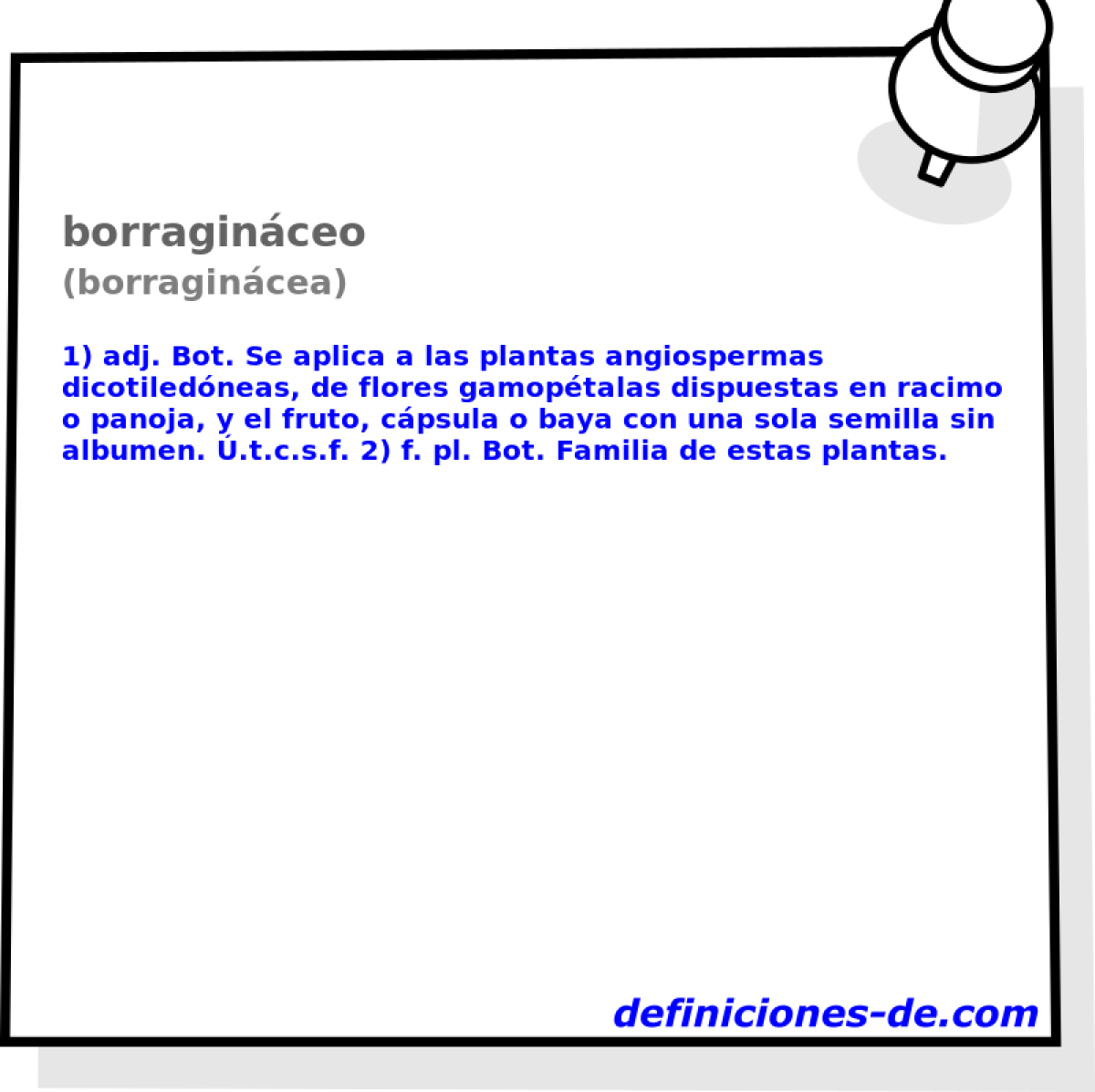borraginceo (borragincea)