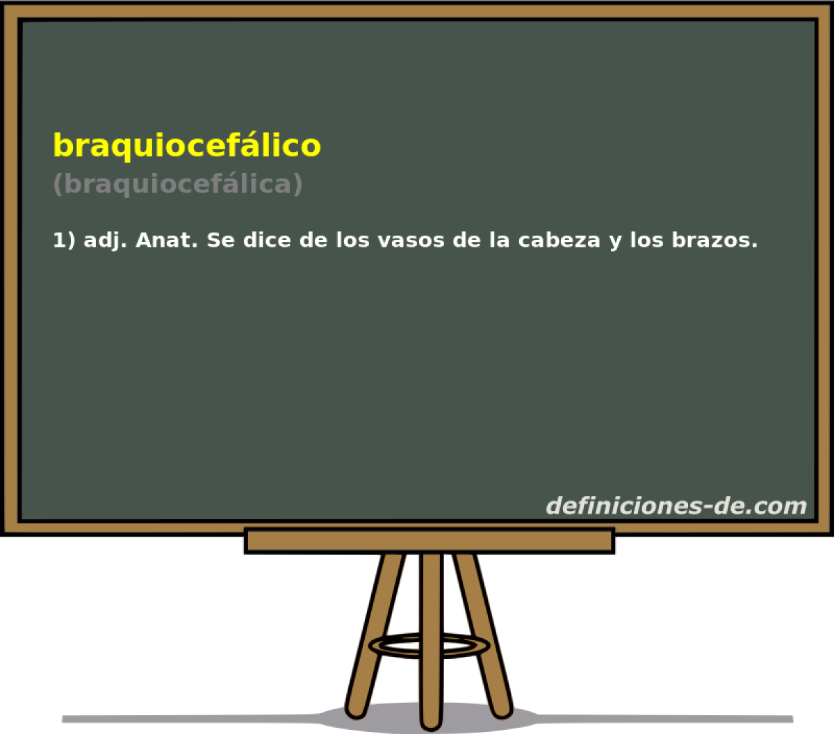 braquioceflico (braquioceflica)