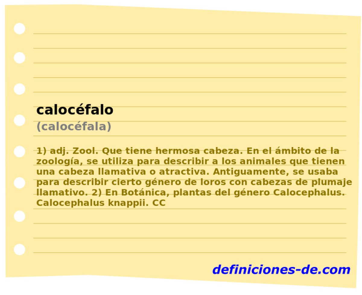 calocfalo (calocfala)