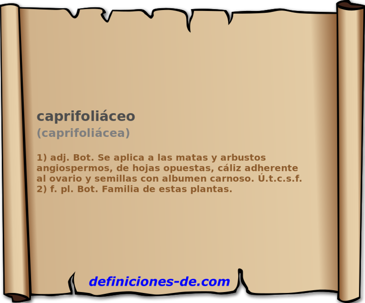 caprifoliceo (caprifolicea)