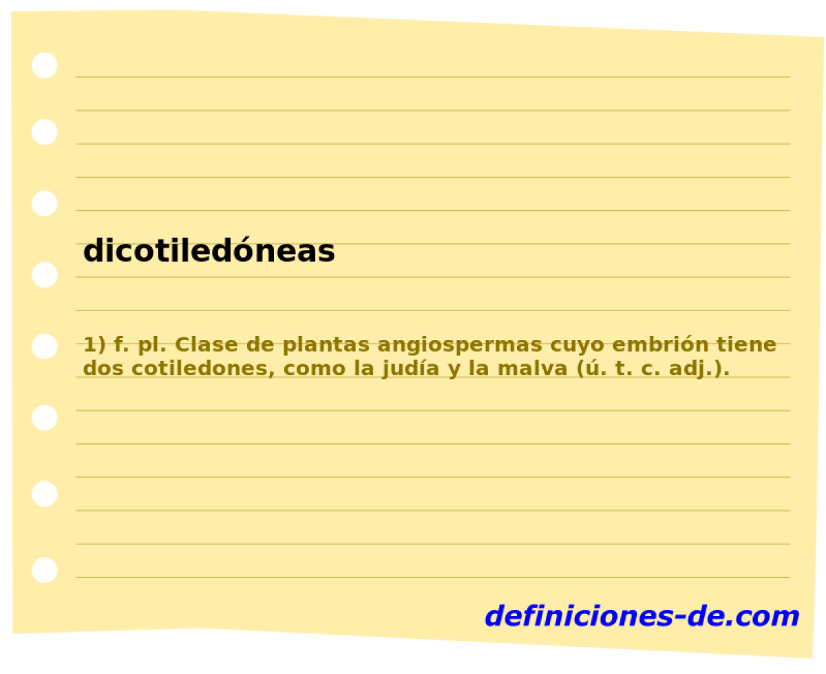 dicotiledneas 
