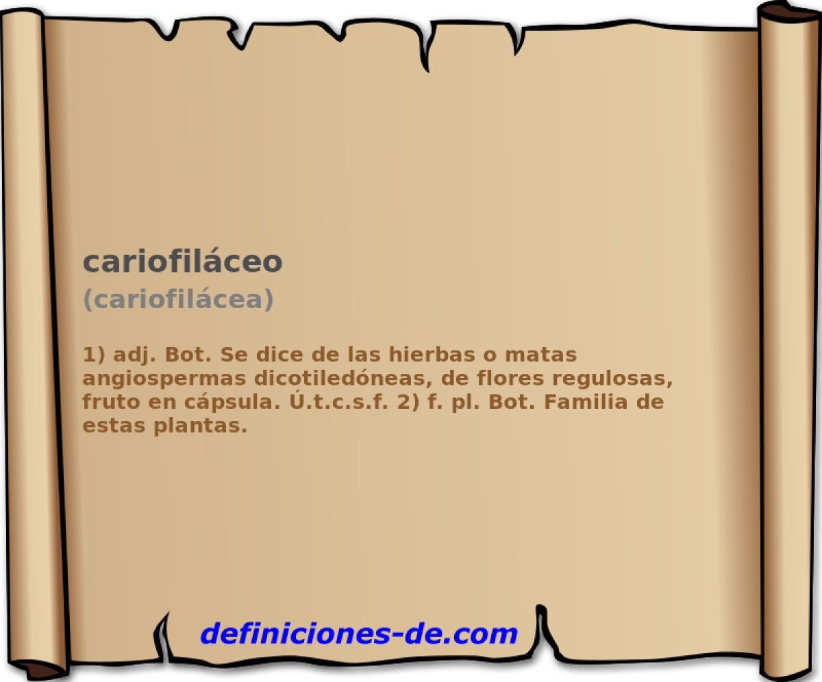 cariofilceo (cariofilcea)