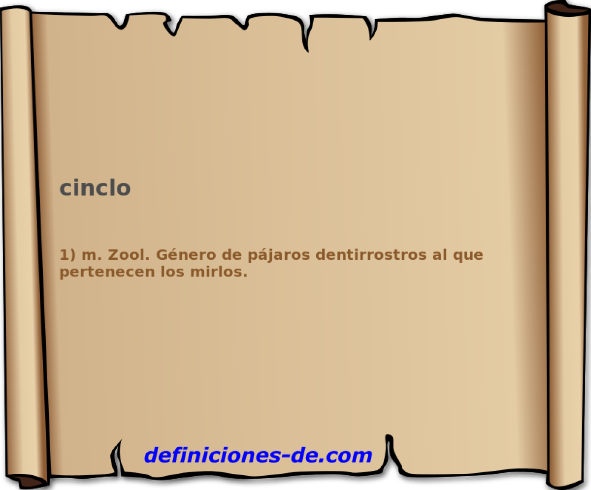 cinclo 