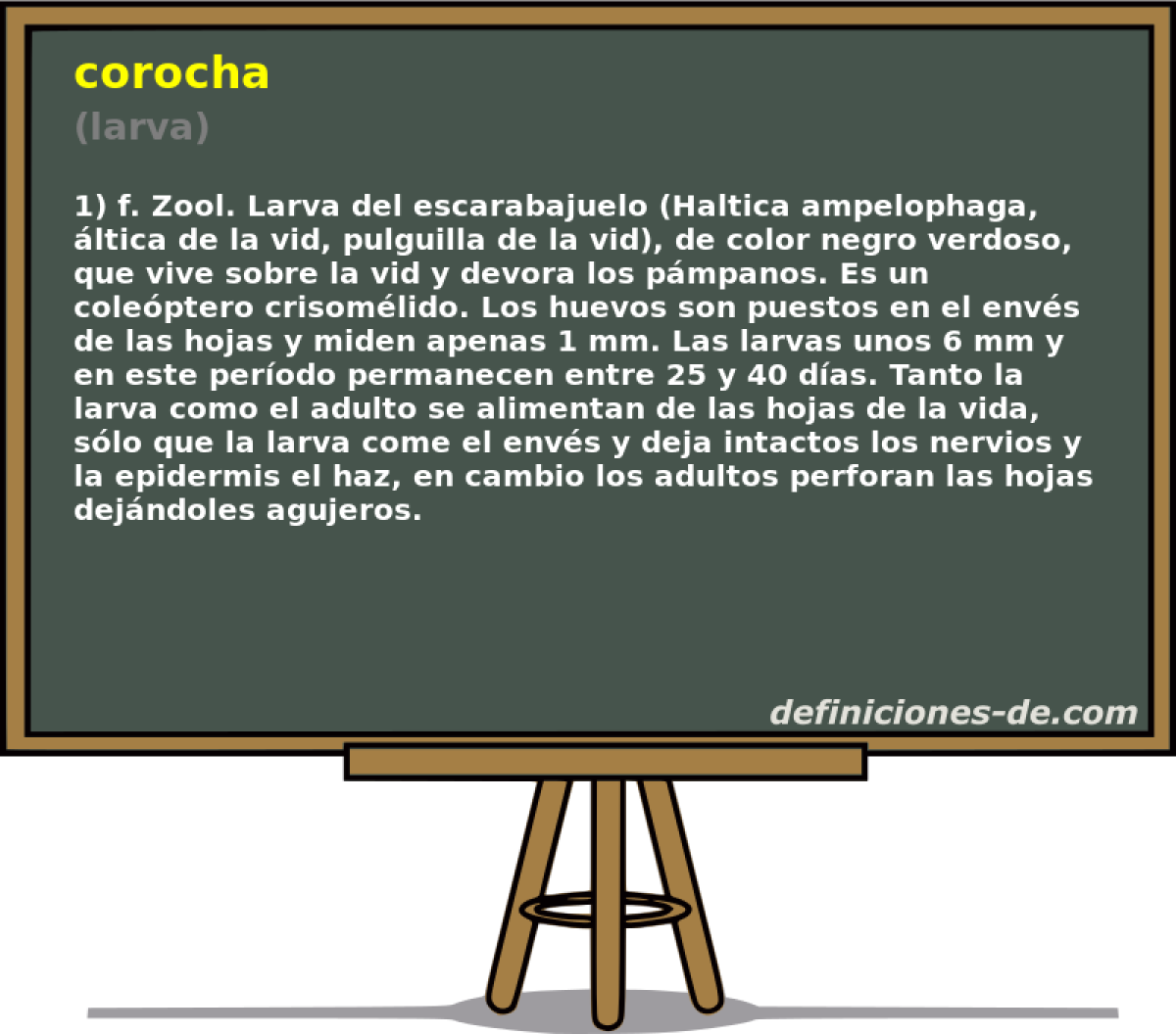 corocha (larva)