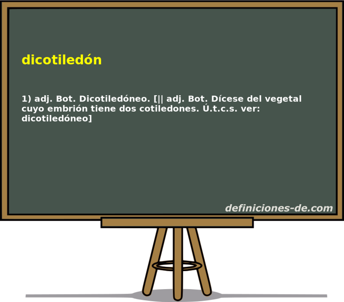 dicotiledn 