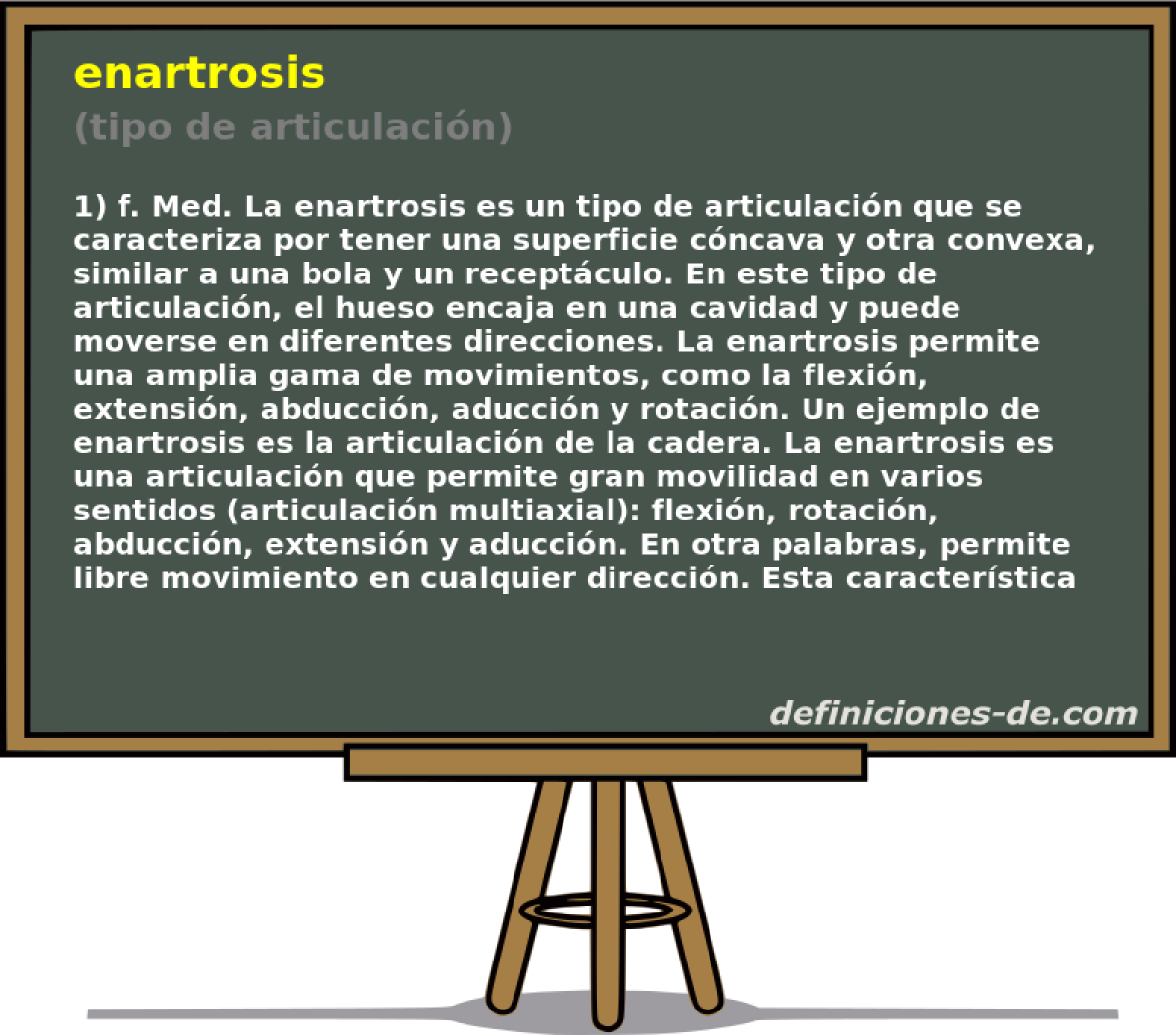 enartrosis (tipo de articulacin)