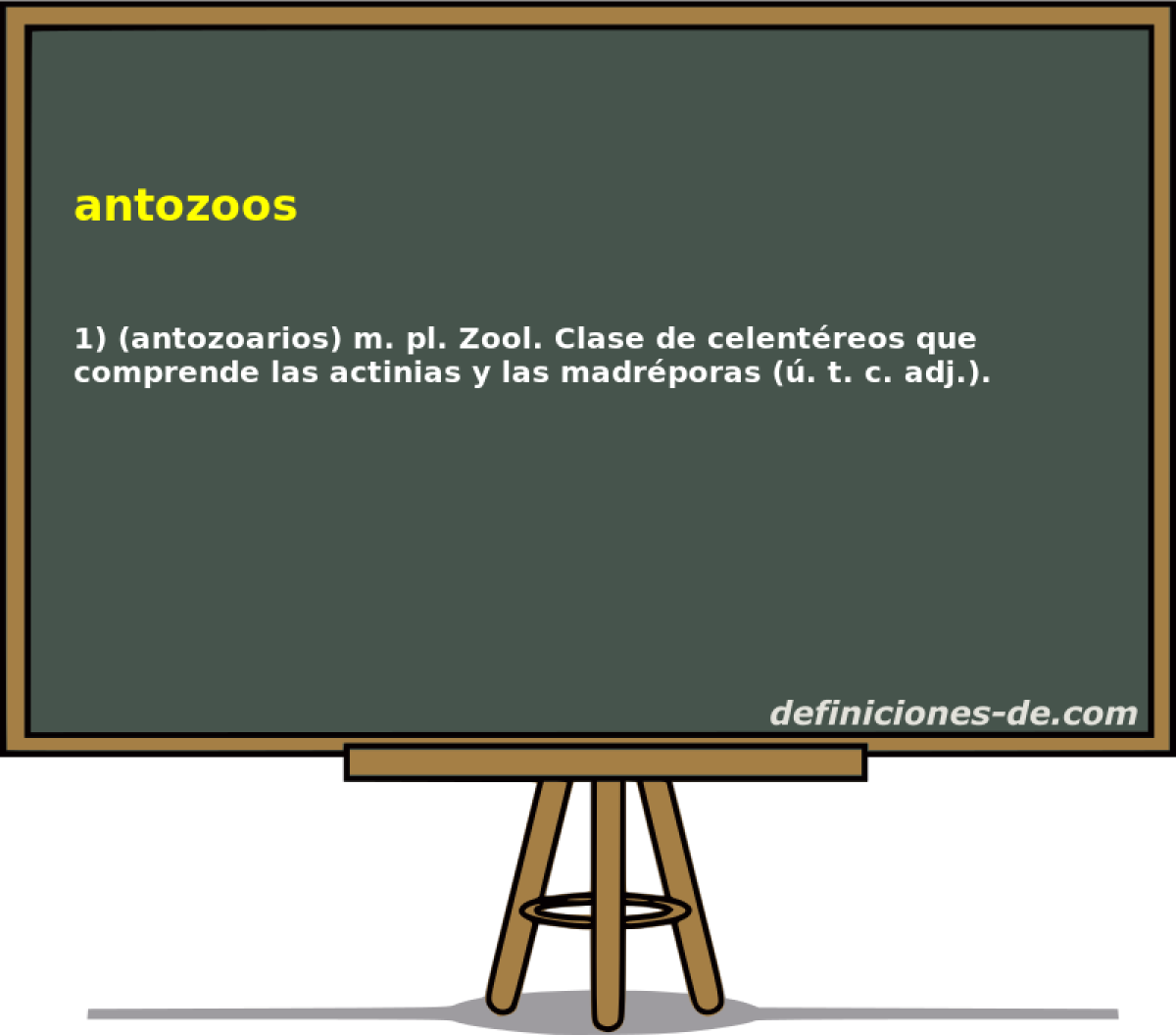 antozoos 
