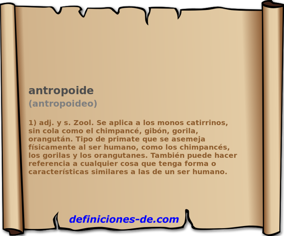 antropoide (antropoideo)