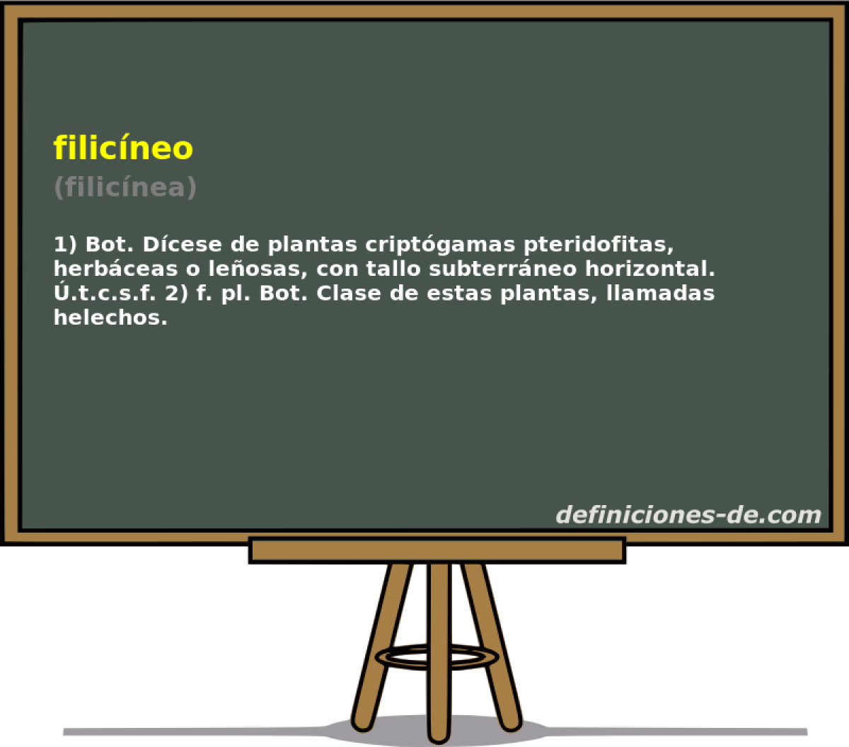 filicneo (filicnea)