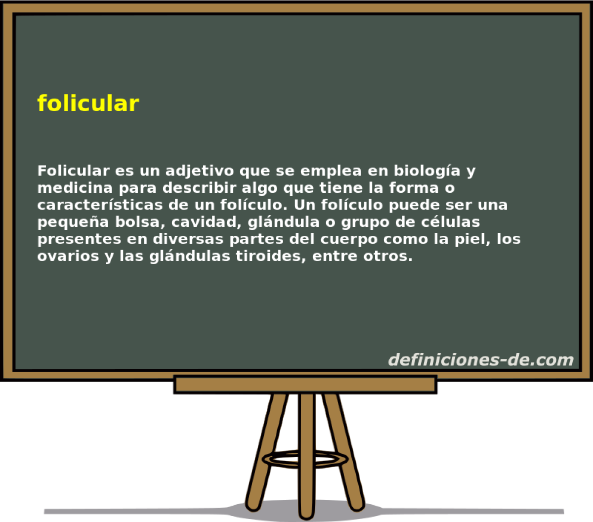folicular 