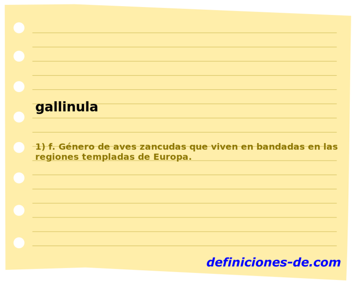 gallinula 