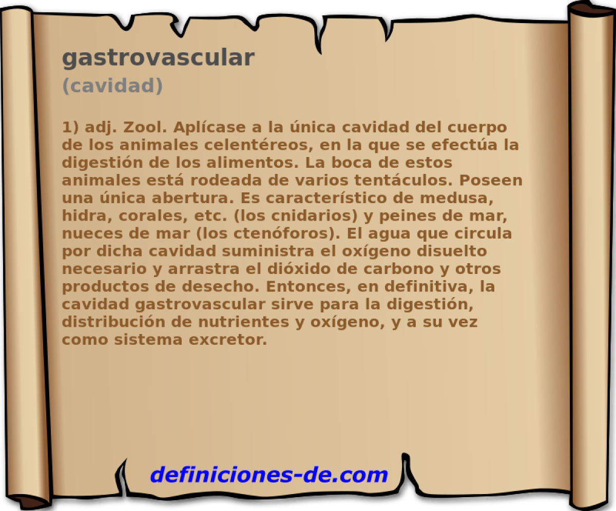 gastrovascular (cavidad)