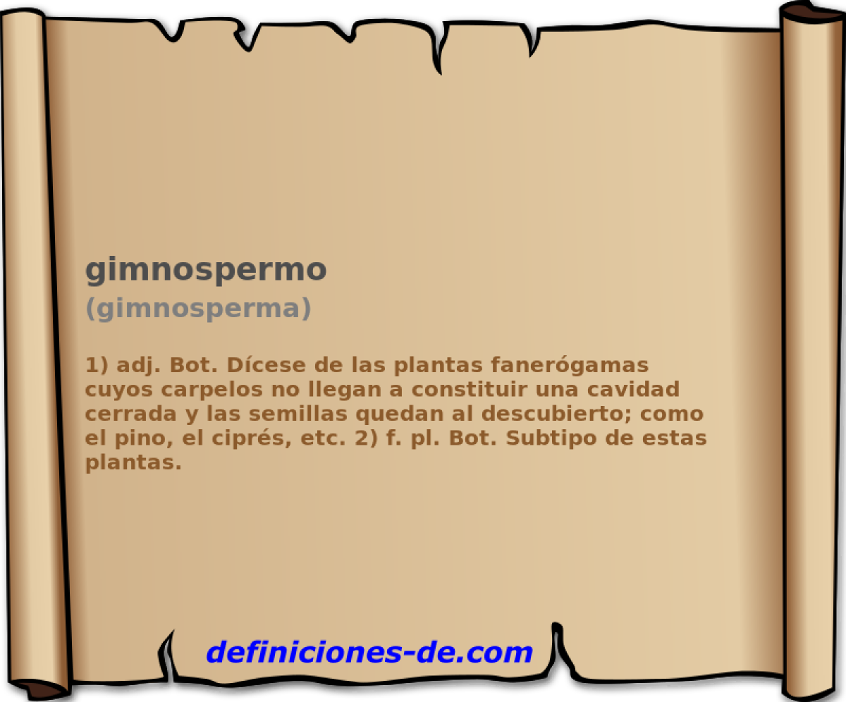 gimnospermo (gimnosperma)