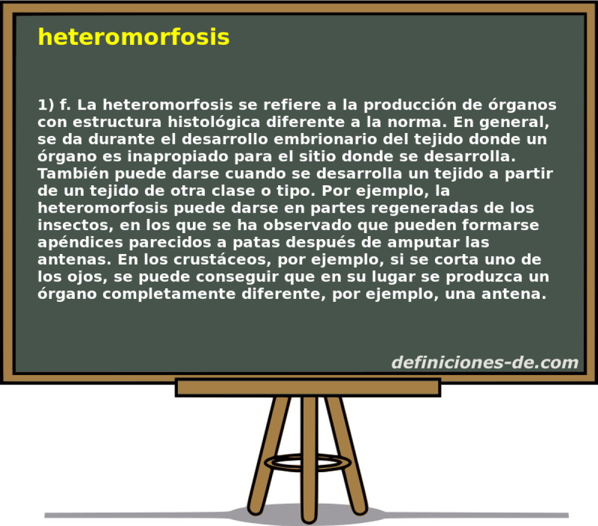 heteromorfosis 