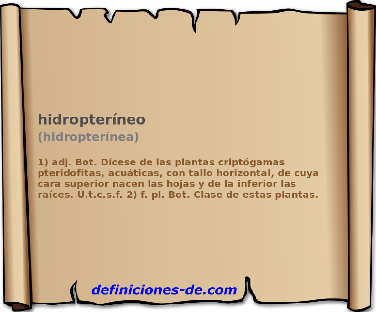 hidropterneo (hidropternea)
