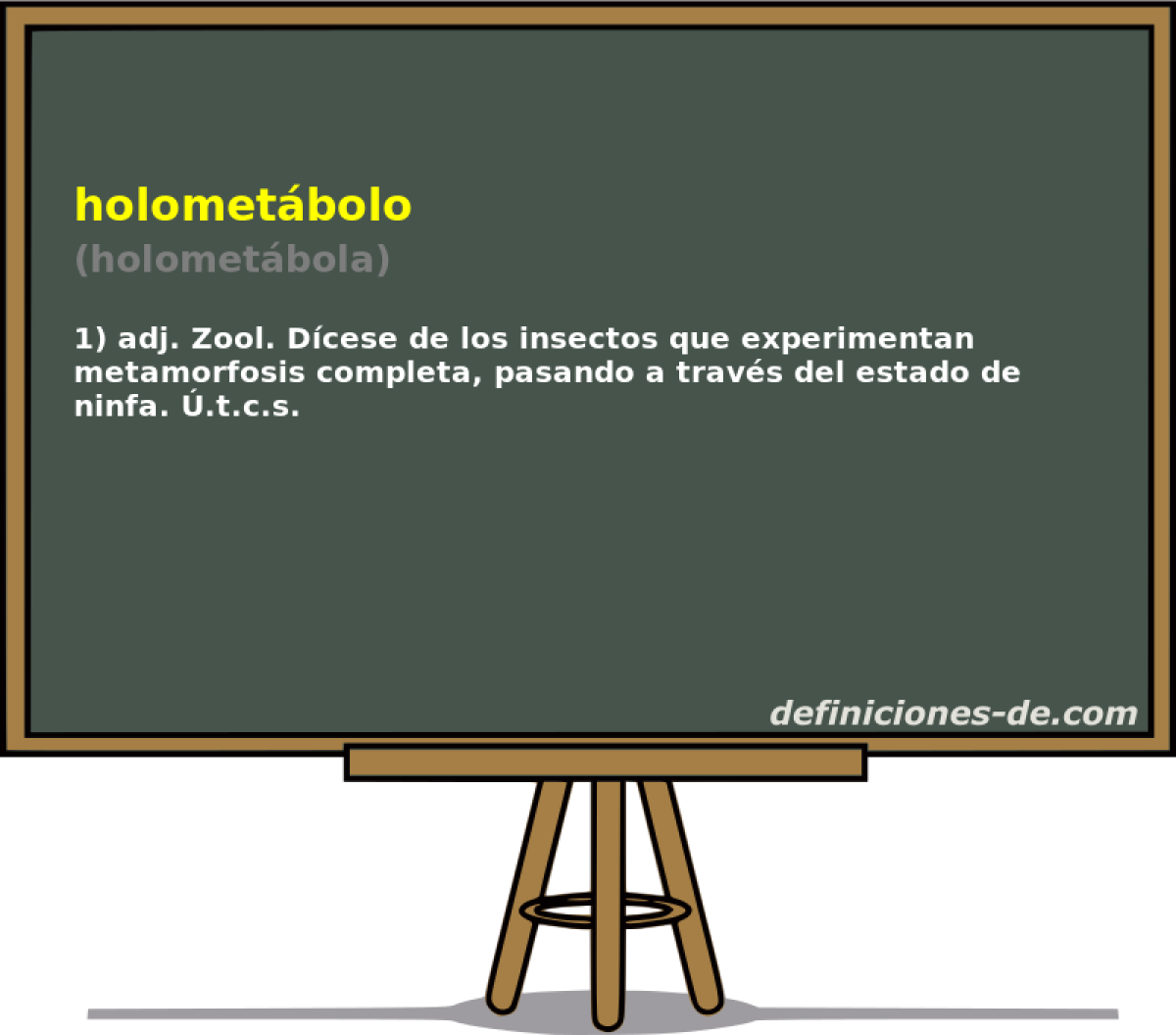 holometbolo (holometbola)