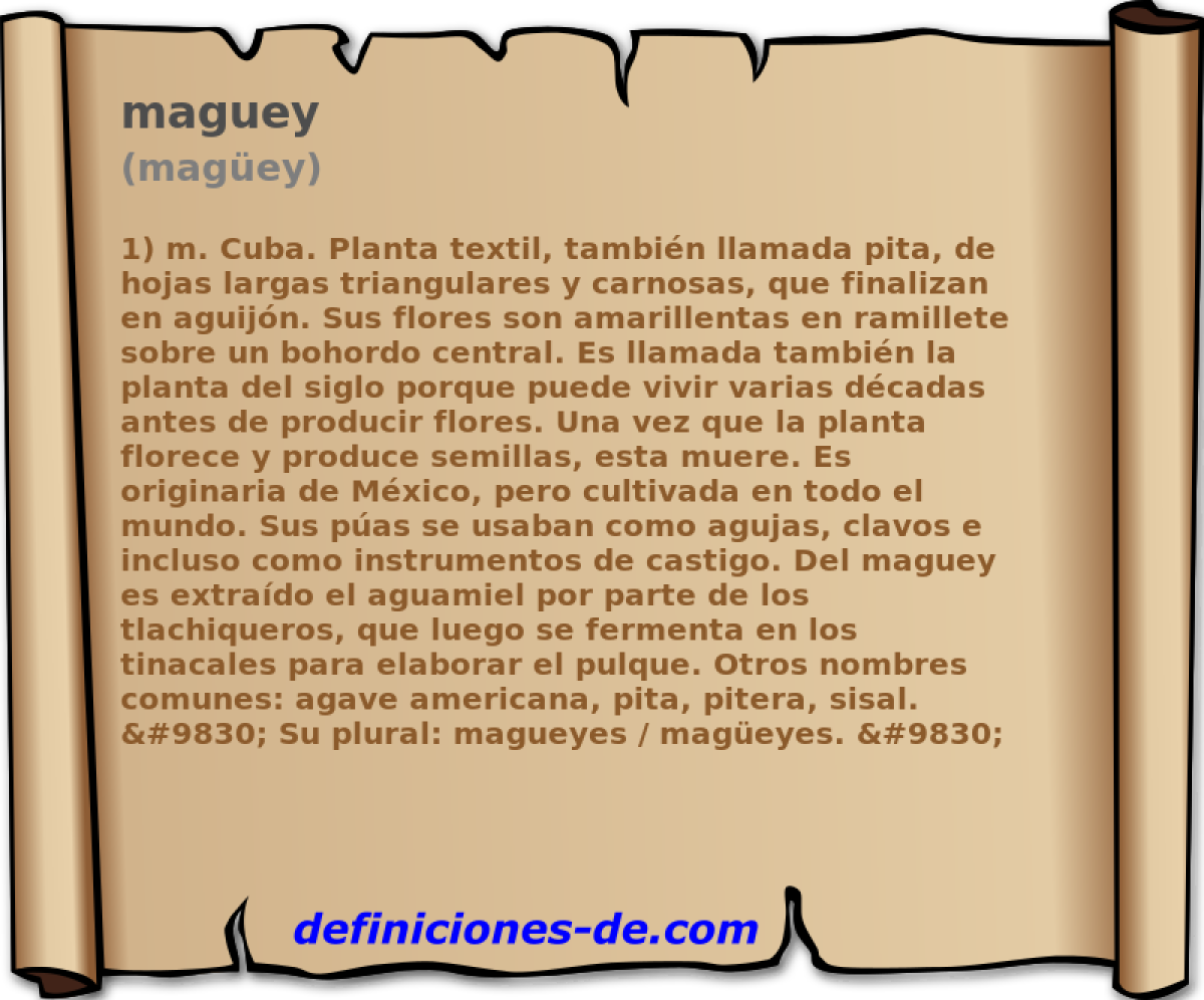 maguey (magey)