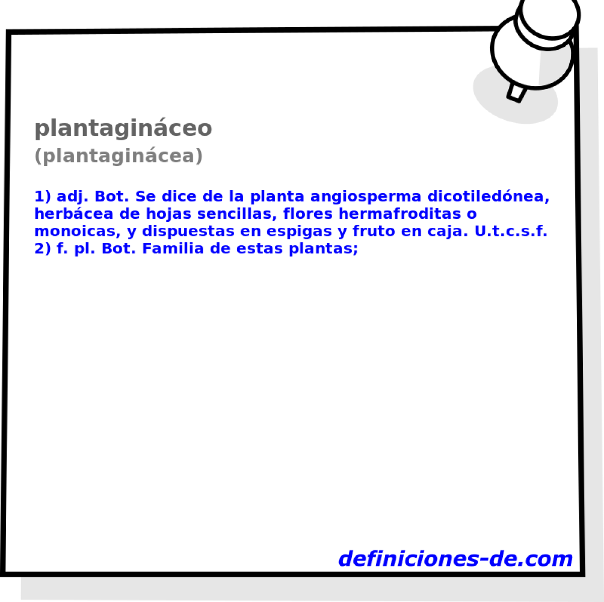 plantaginceo (plantagincea)