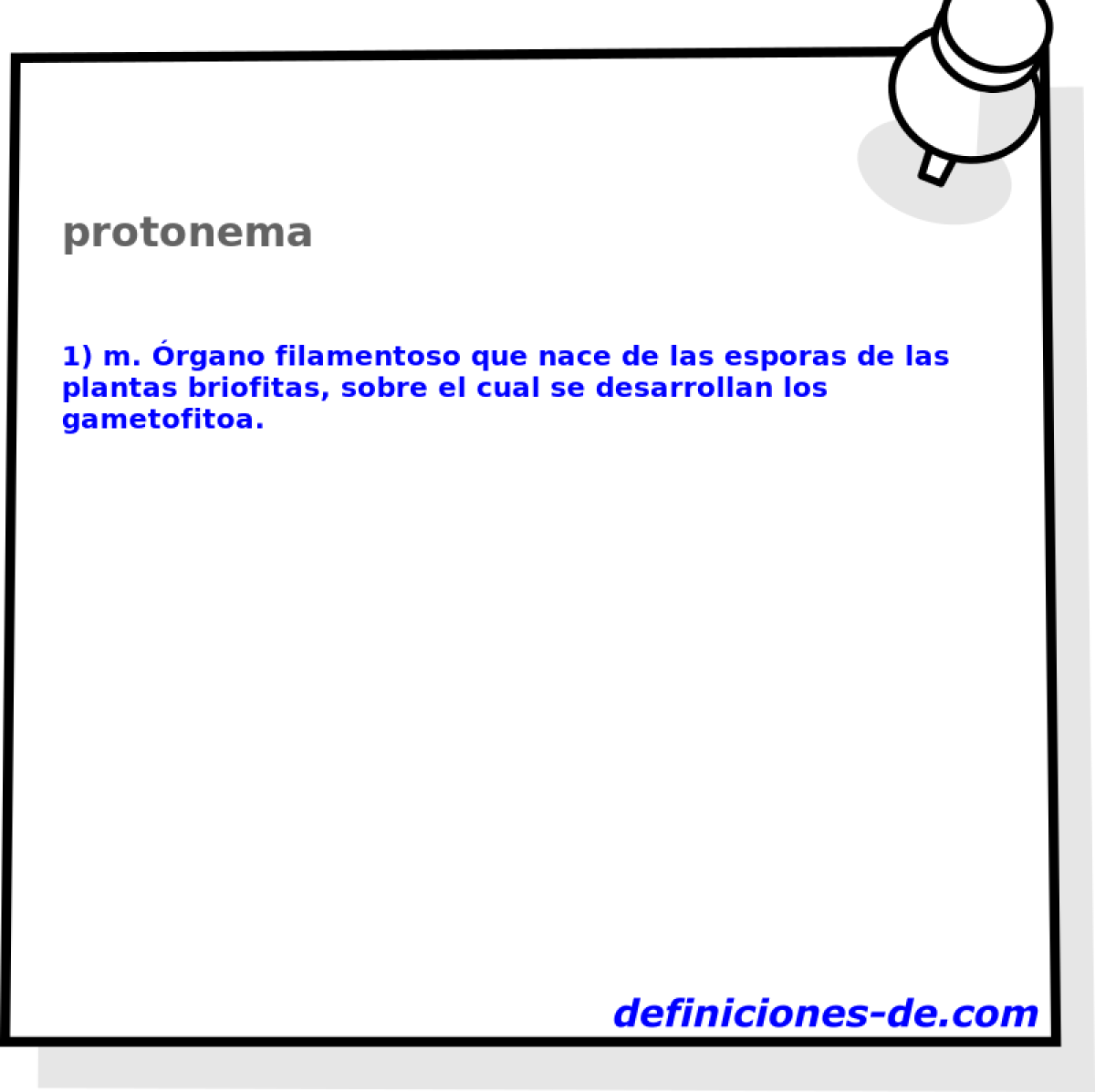 protonema 