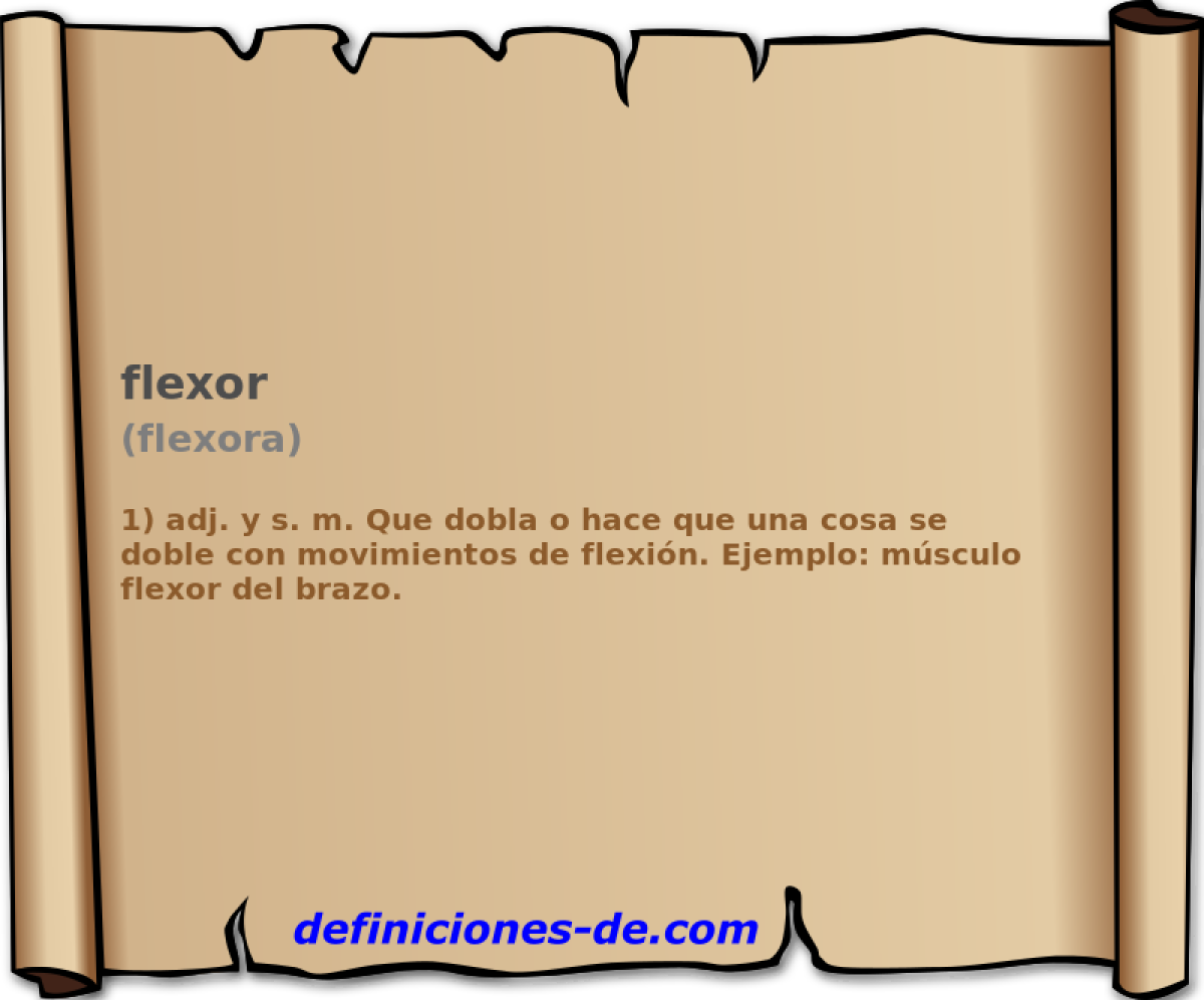 flexor (flexora)