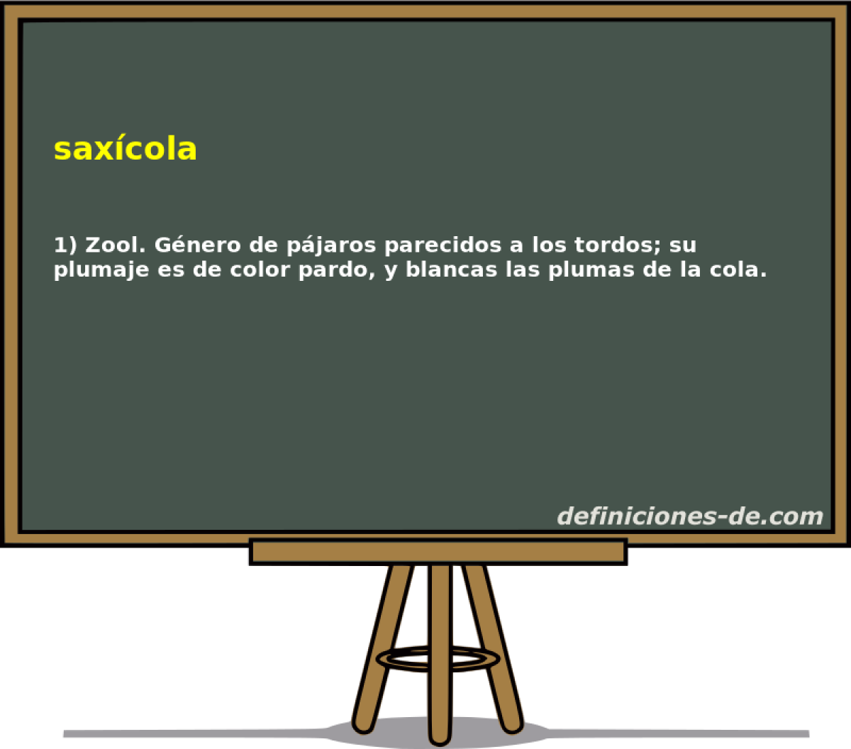 saxcola 