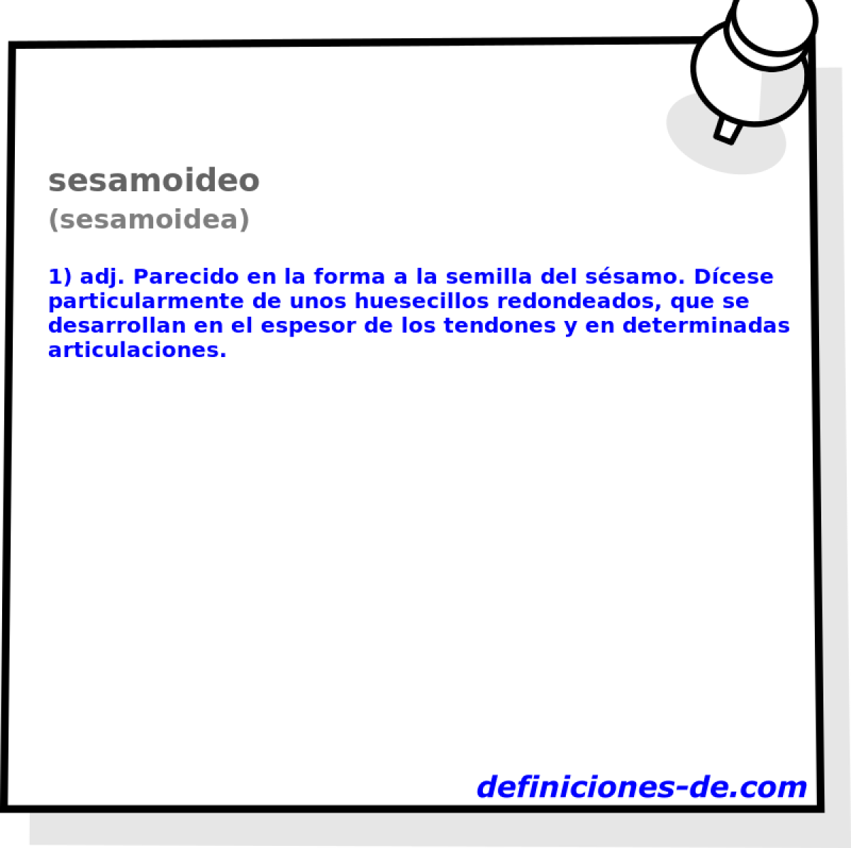 sesamoideo (sesamoidea)