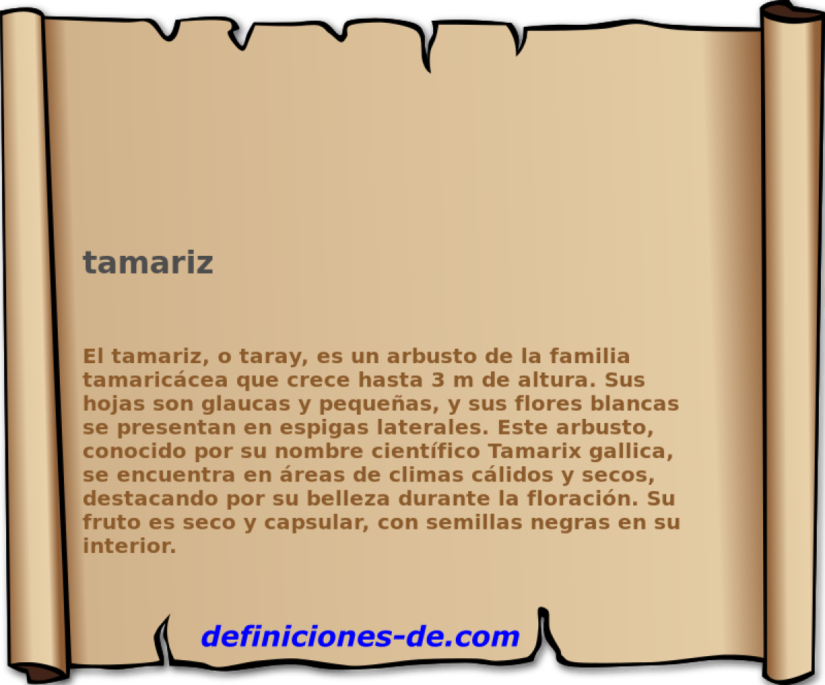 tamariz 