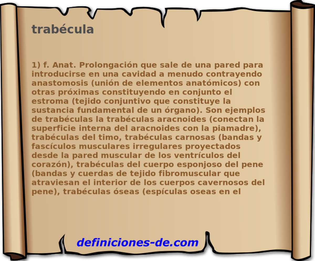 trabcula 