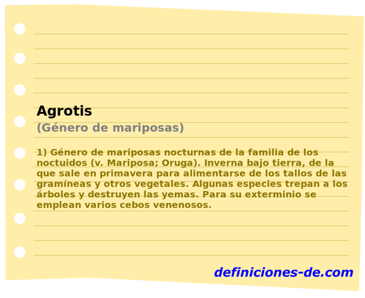 Agrotis (Gnero de mariposas)