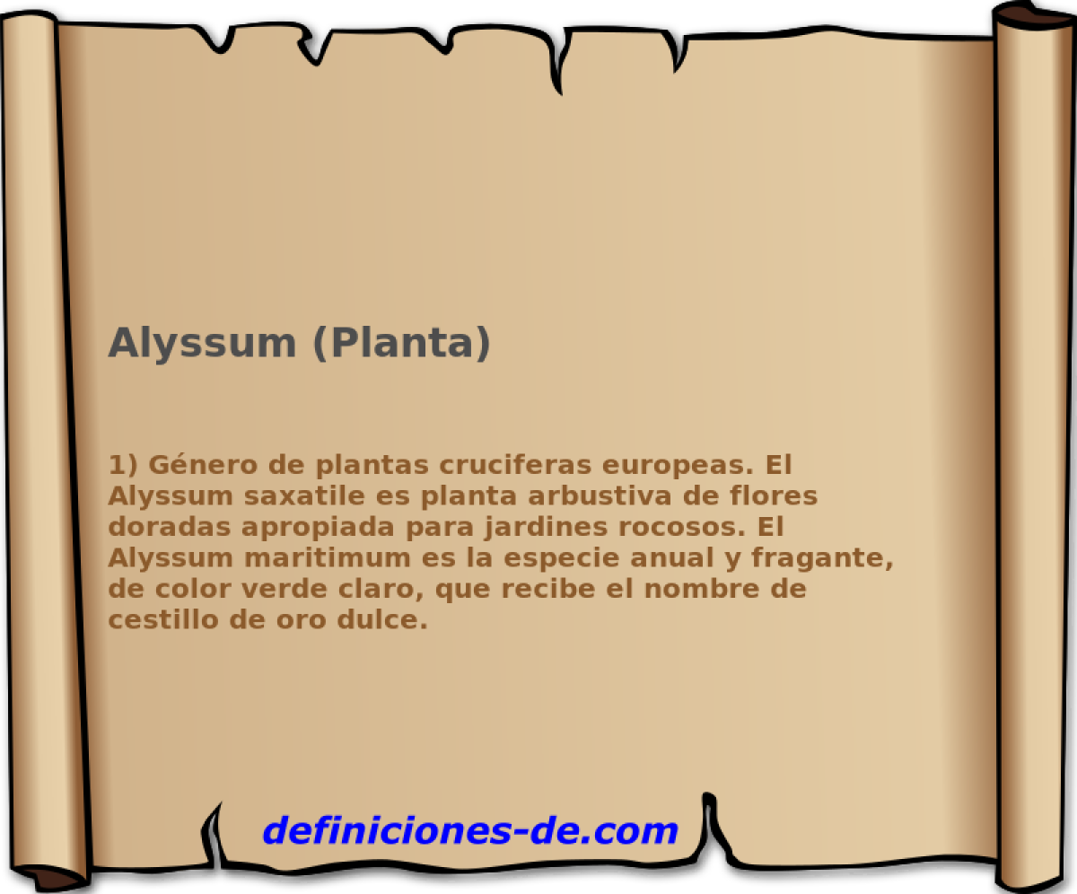 Alyssum (Planta) 