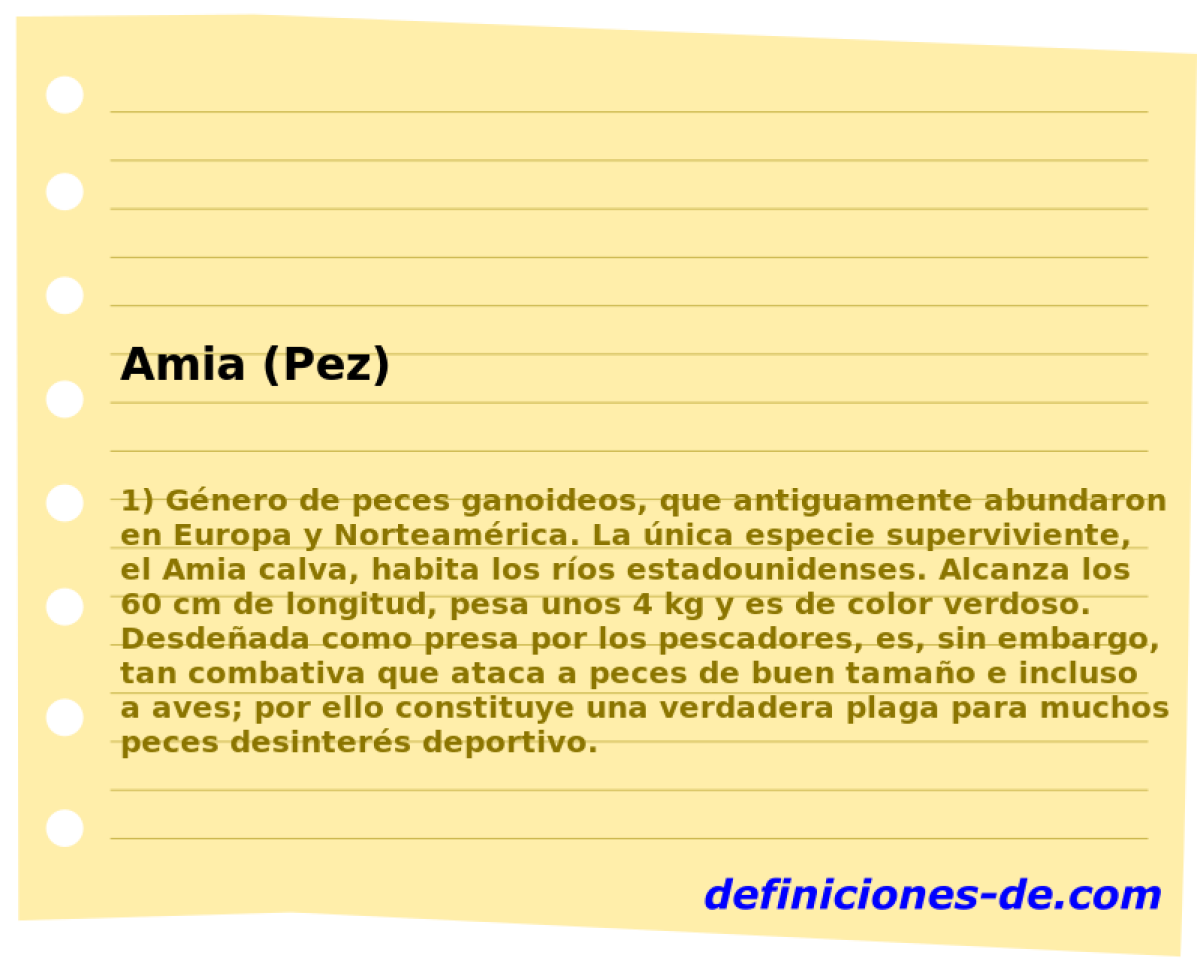 Amia (Pez) 