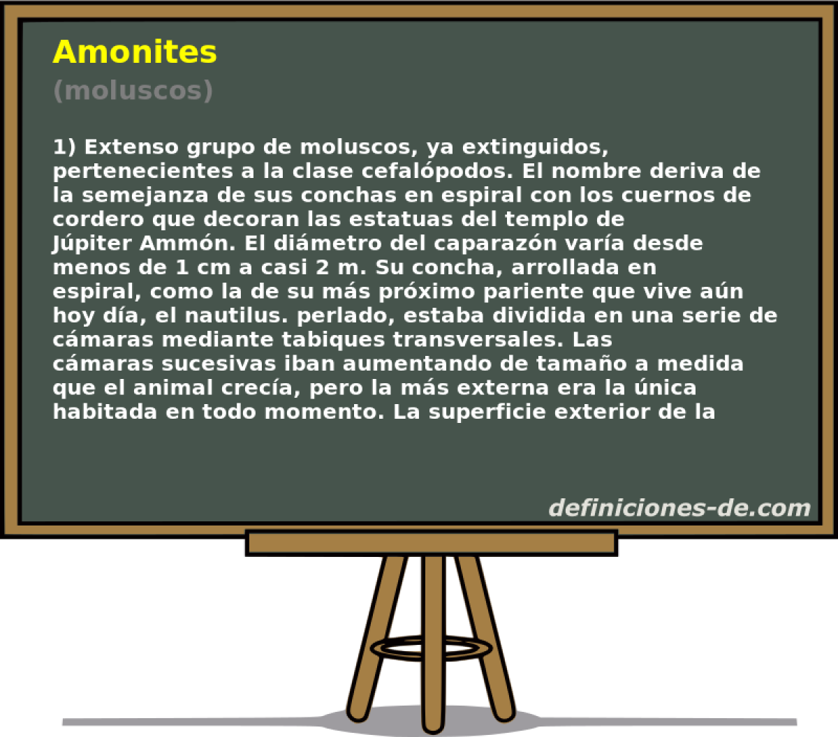 Amonites (moluscos)