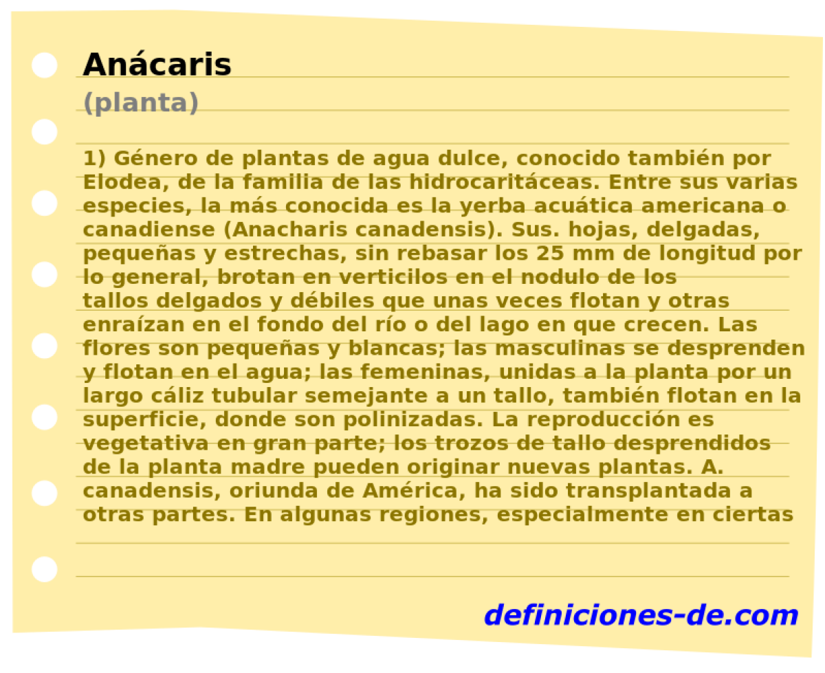 Ancaris (planta)