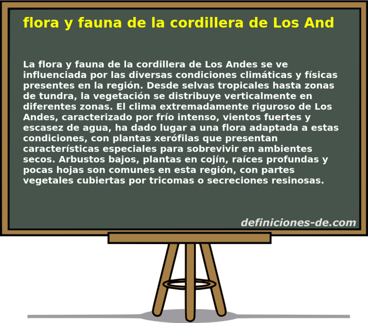 flora y fauna de la cordillera de Los Andes 