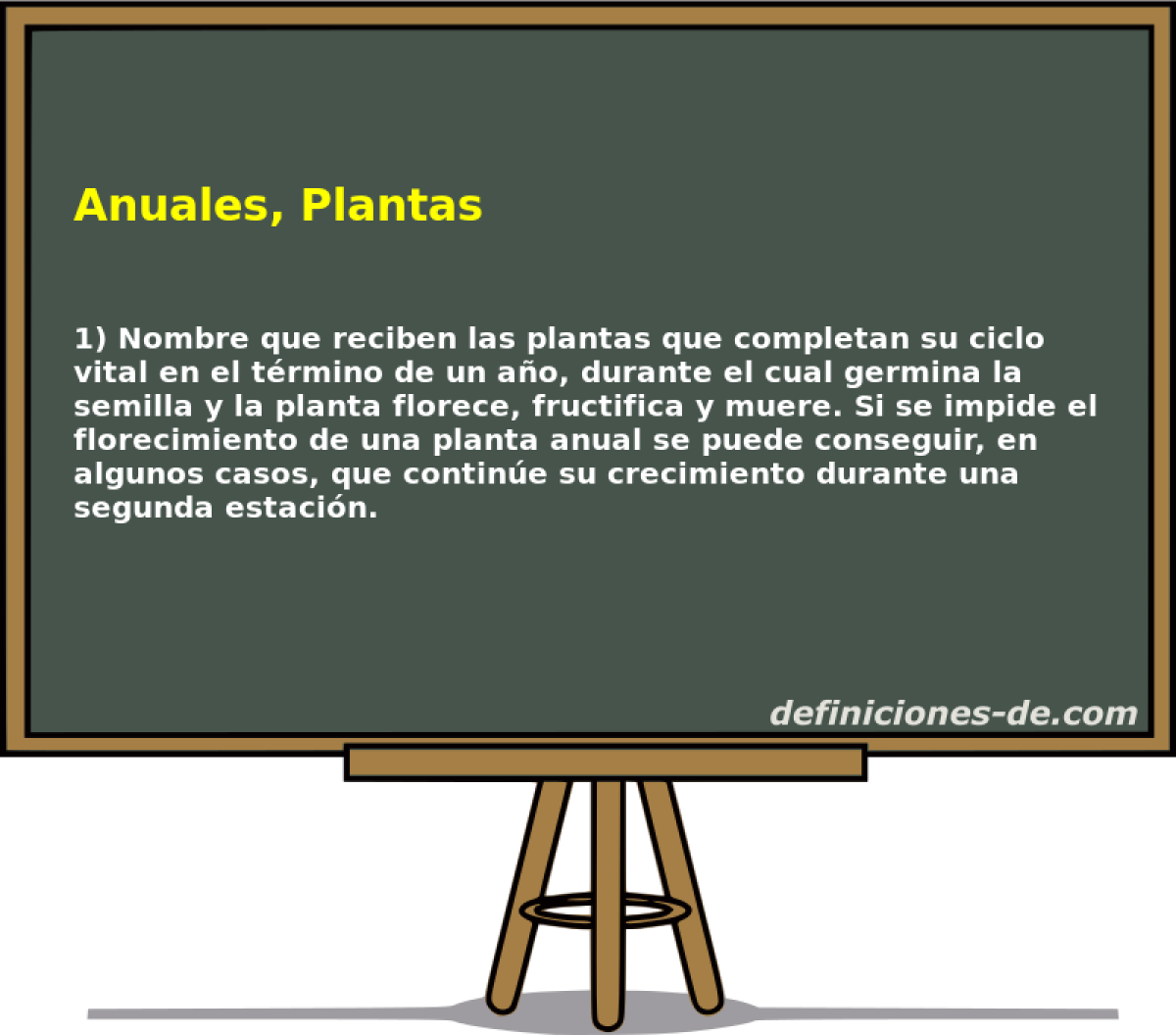 Anuales, Plantas 