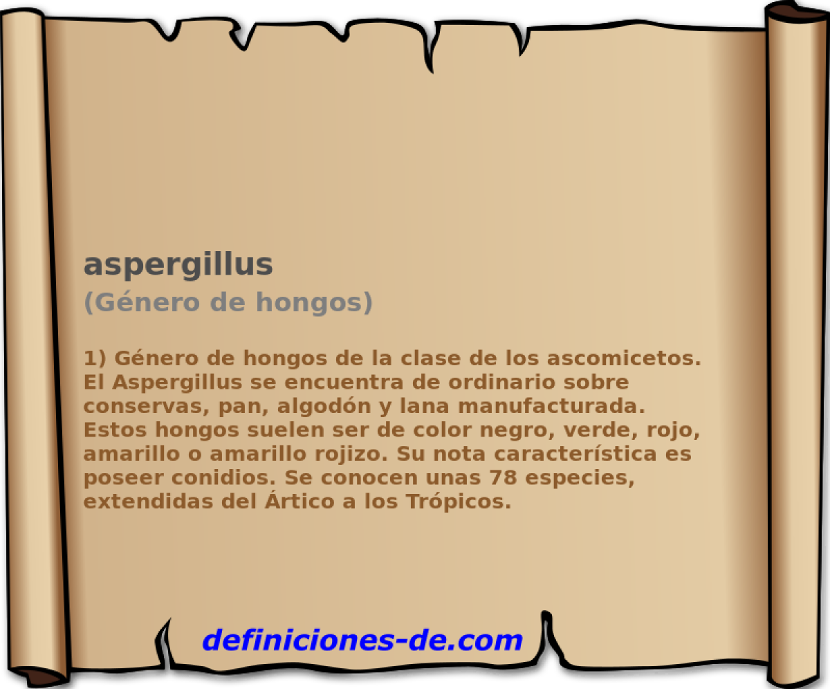 aspergillus (Gnero de hongos)