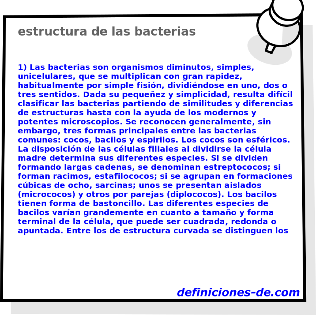 estructura de las bacterias 