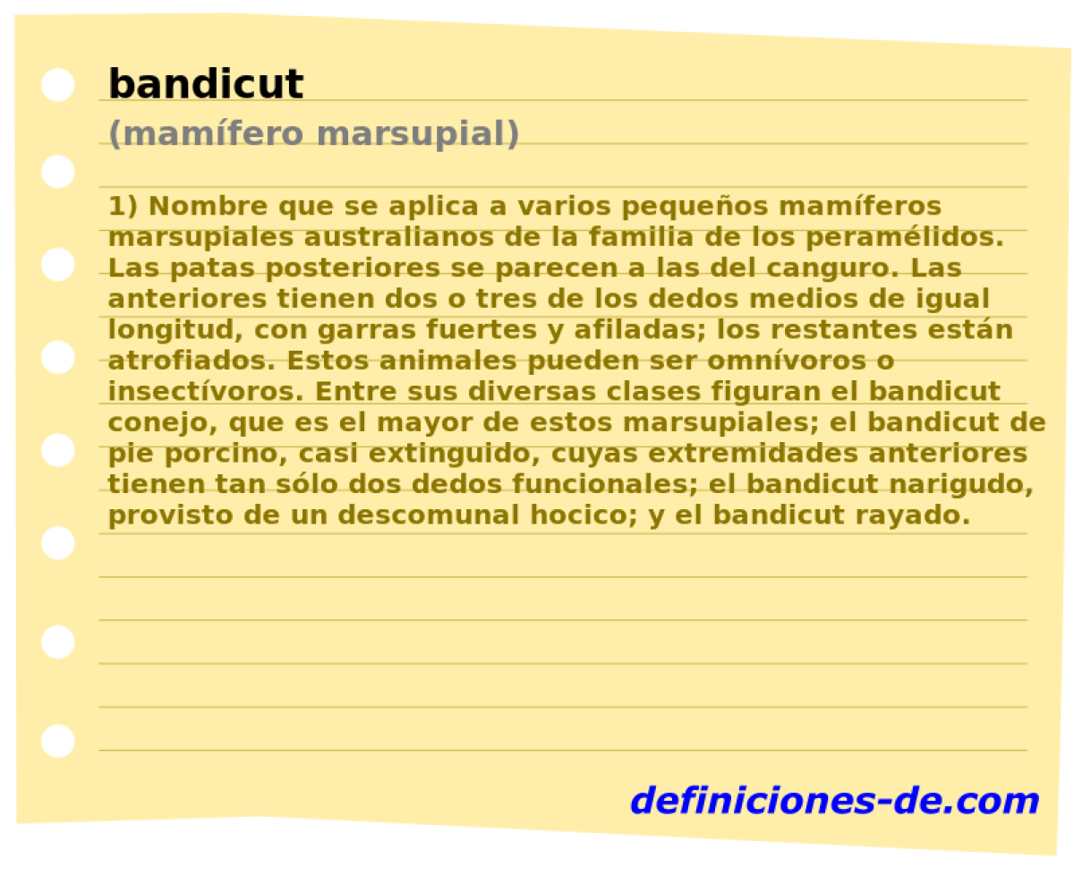 bandicut (mamfero marsupial)