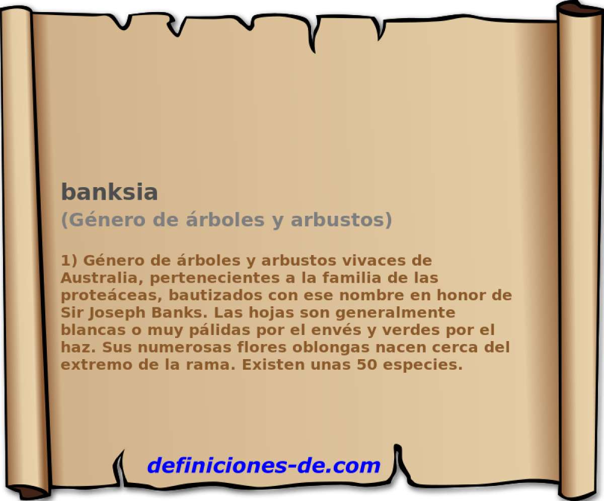 banksia (Gnero de rboles y arbustos)