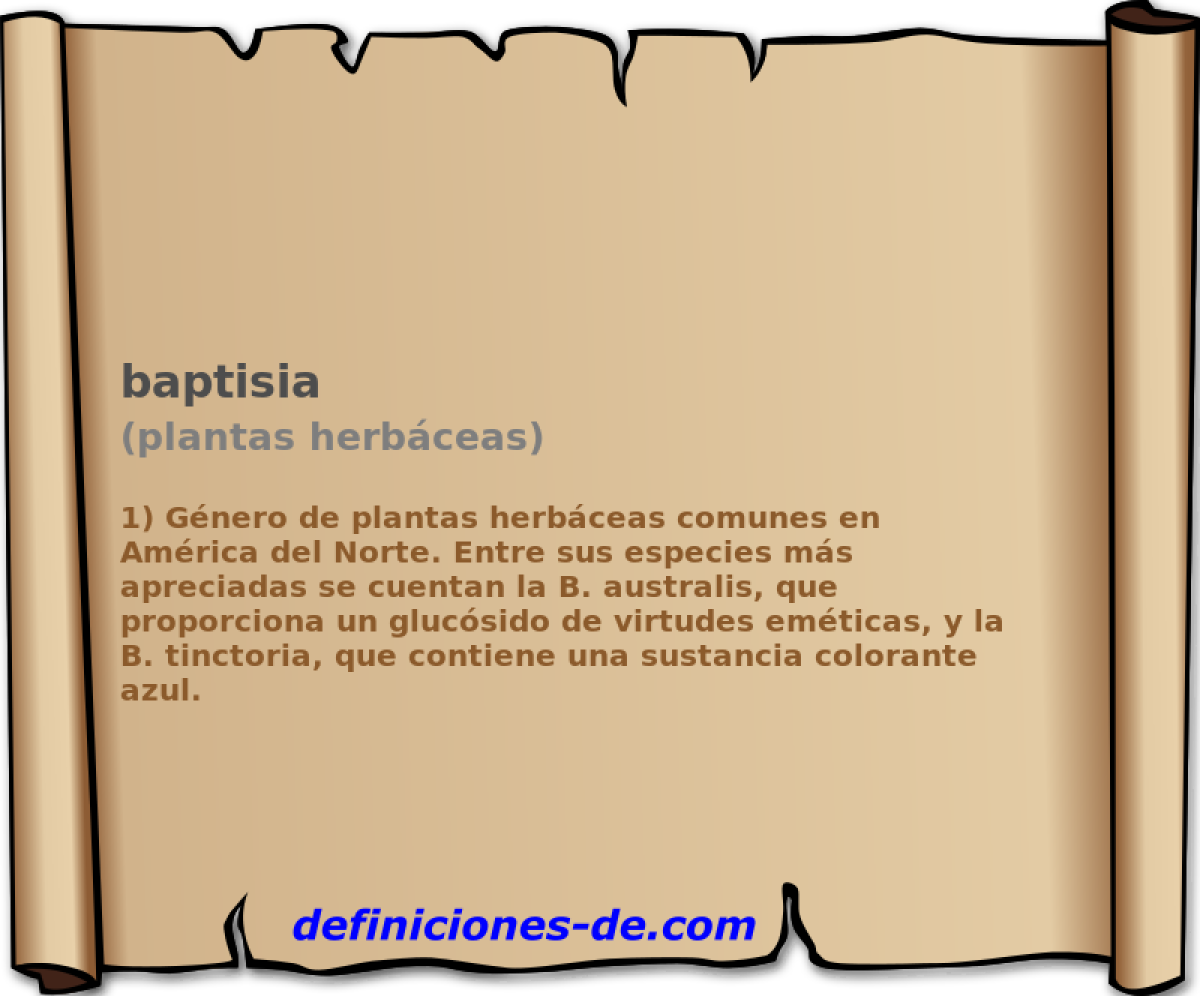 baptisia (plantas herbceas)