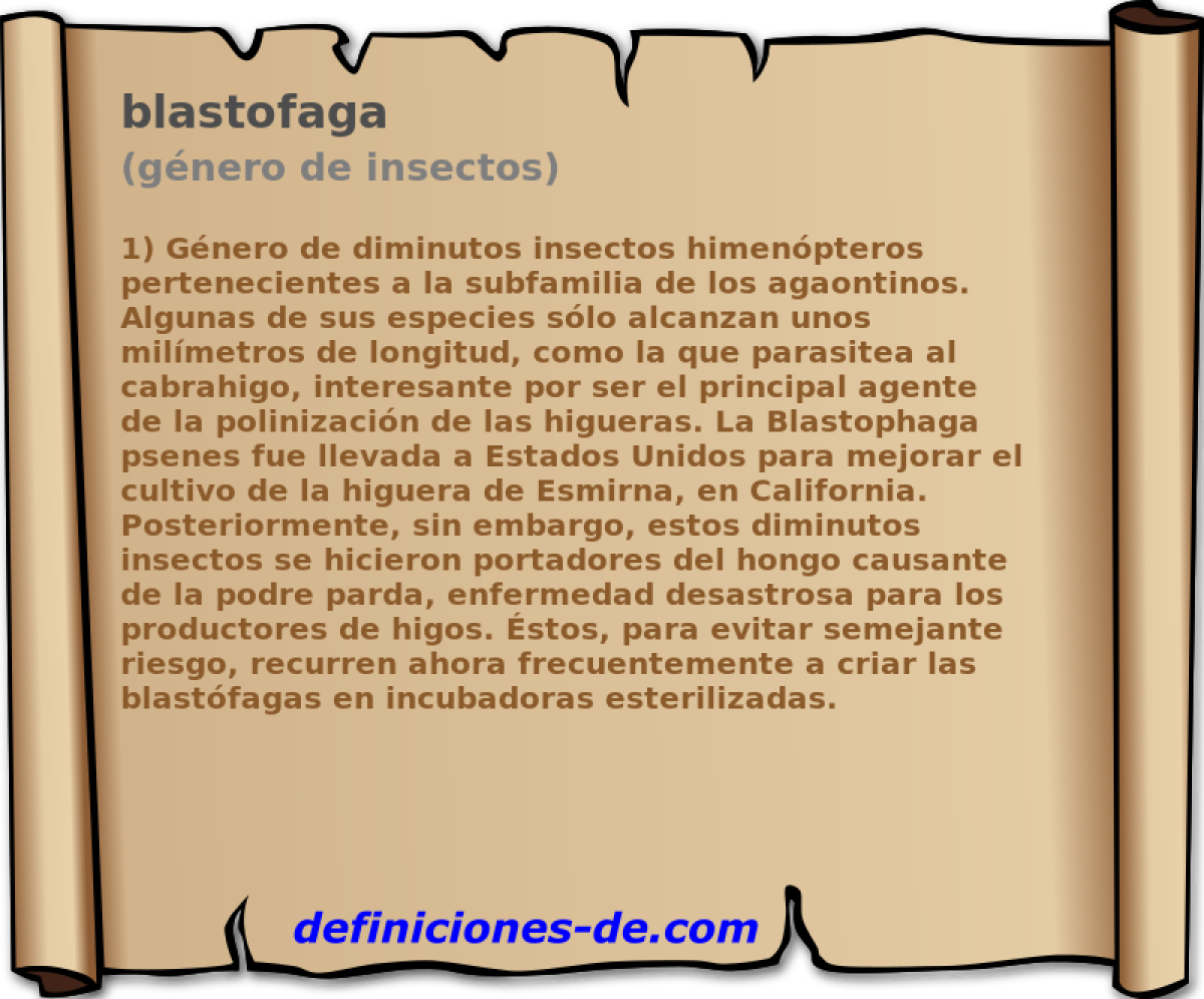 blastofaga (gnero de insectos)