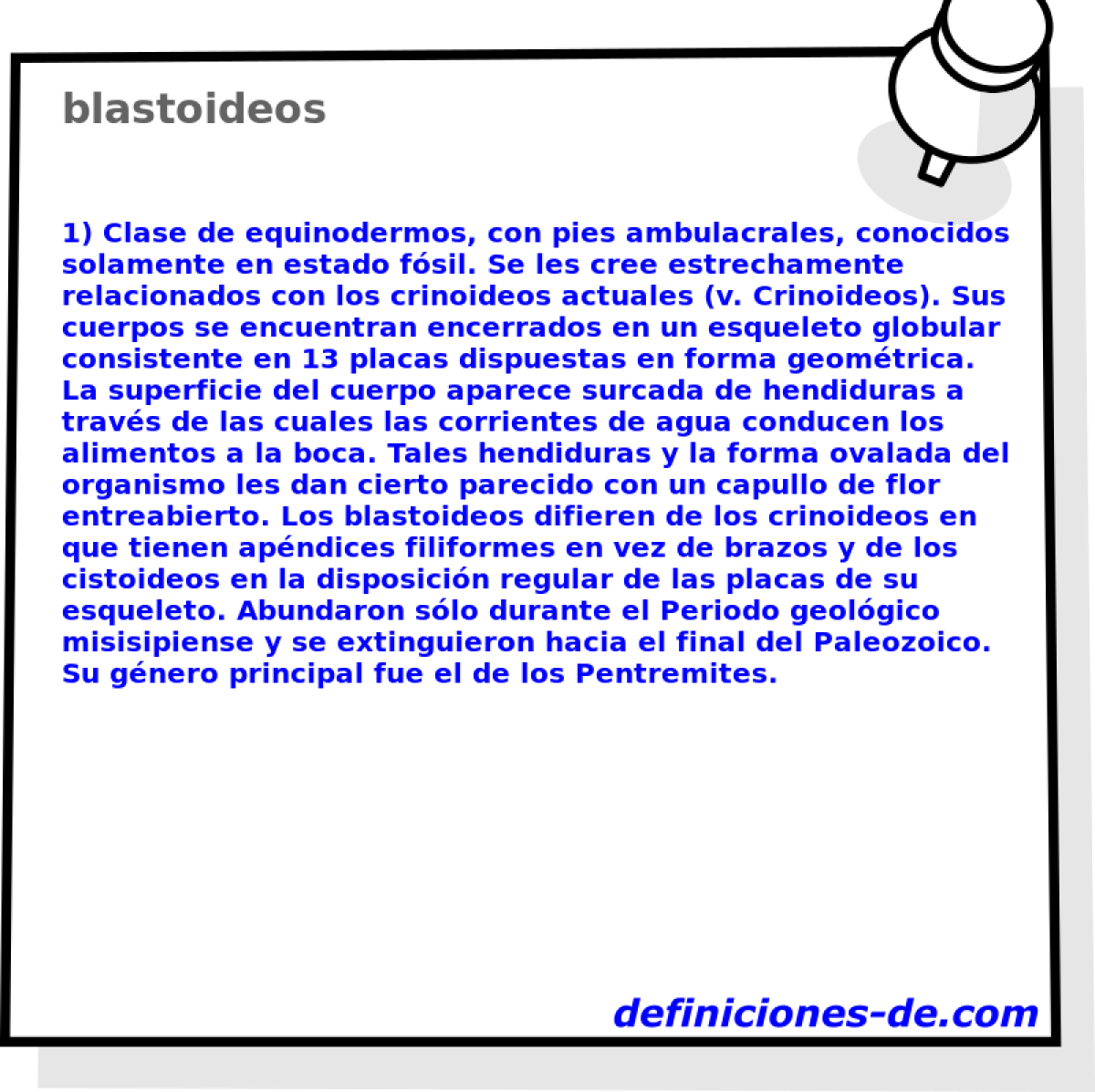 blastoideos 