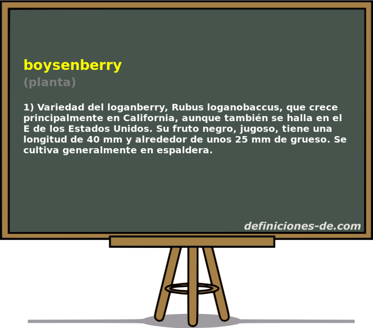 boysenberry (planta)